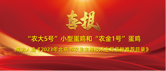 17009771251261.png 圖片.png